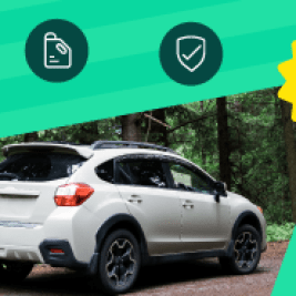 What is the average cost of owning a car?