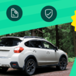 What is the average cost of owning a car?